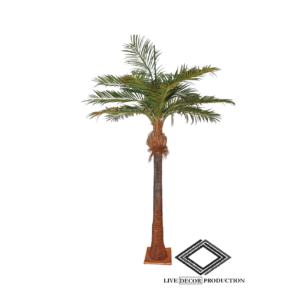 Location de palmier artificiel
