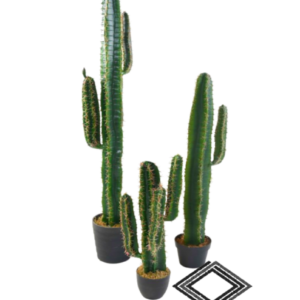 Location de cactus artificiel