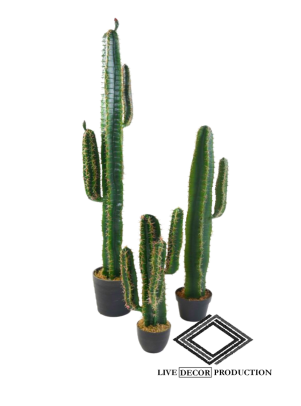 location de cactus artificiel