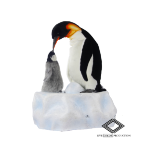 Location de pingouin animé robotisé