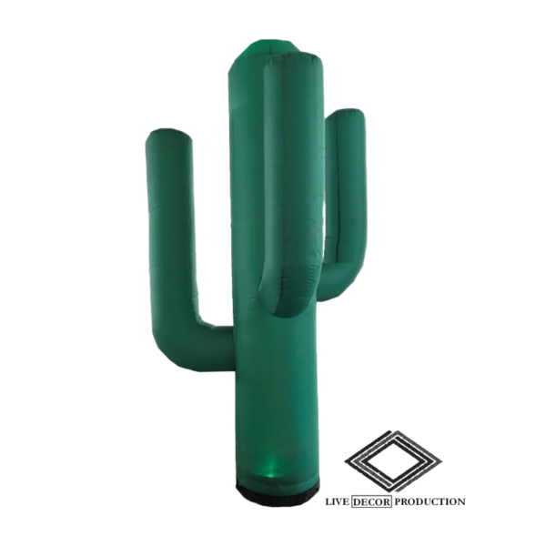 Location de cactus gonflable lumineux