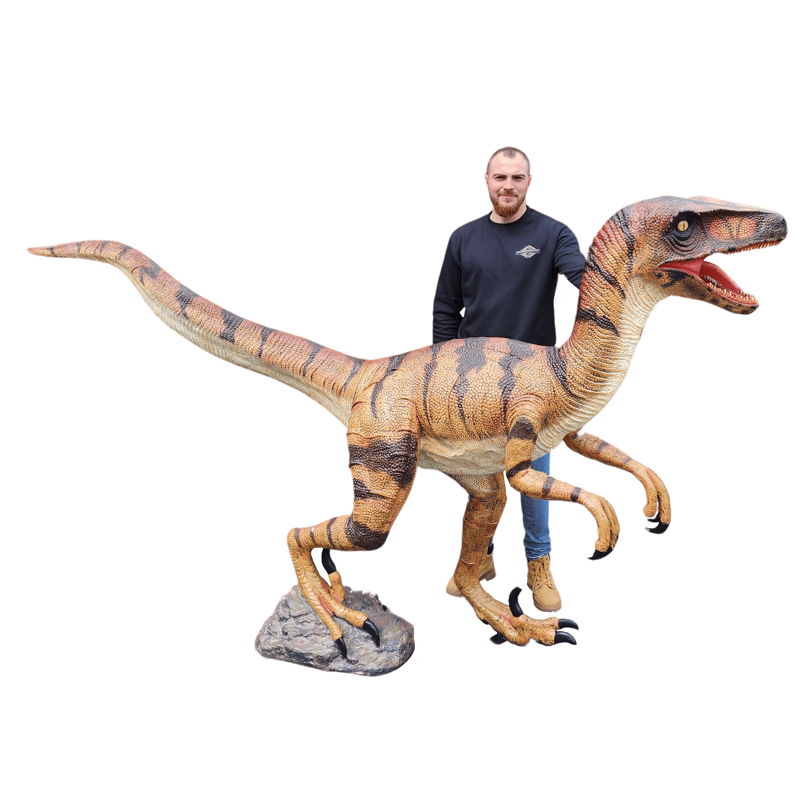 Location statue velociraptor