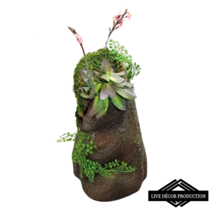 Petit rocher avatar avec végétation