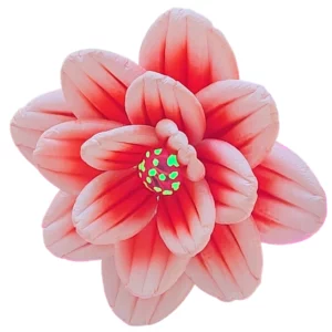 Fleur gonflable rose pâle