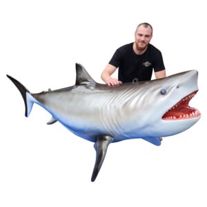 Requin en résine