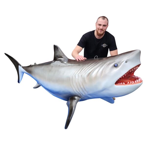 location décoration requin en résine