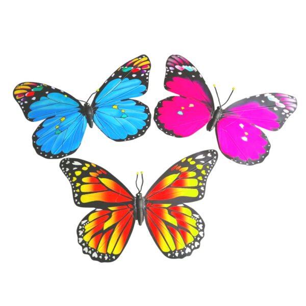 Location papillon géant coloré