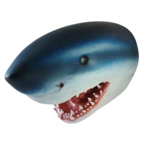Tête de requin bleu