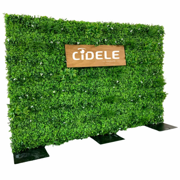 Location mur végétal