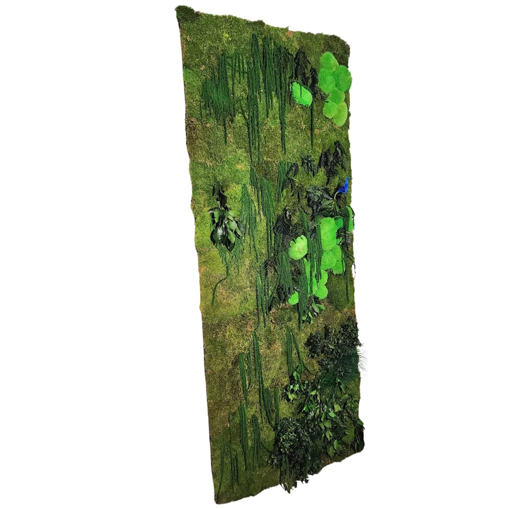 Location mur végétal stabilisé en relief