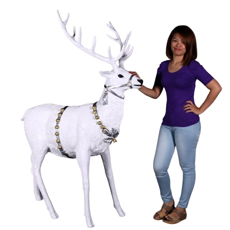 Location renne blanc