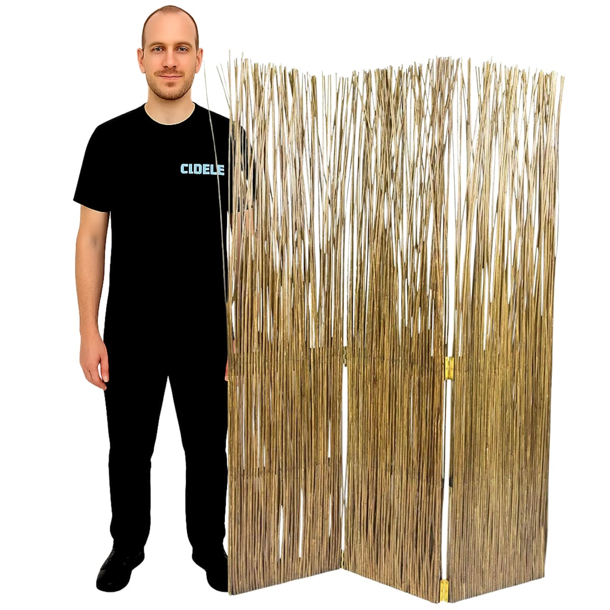 Location paravent en osier